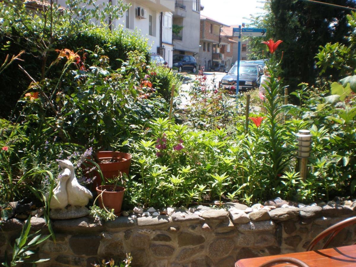 Family Hotel Emilia سوزوبول المظهر الخارجي الصورة