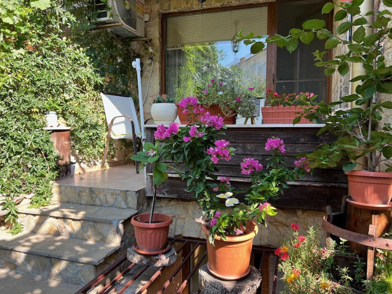 Family Hotel Emilia سوزوبول المظهر الخارجي الصورة