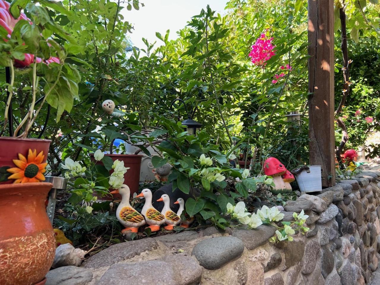 Family Hotel Emilia سوزوبول المظهر الخارجي الصورة