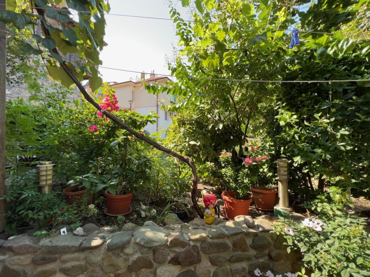 Family Hotel Emilia سوزوبول المظهر الخارجي الصورة