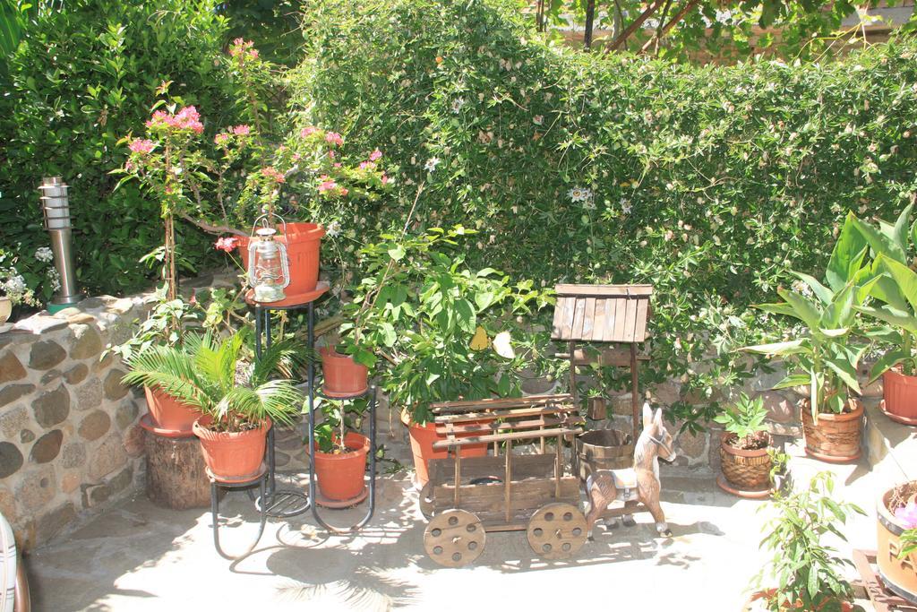 Family Hotel Emilia سوزوبول المظهر الخارجي الصورة
